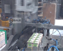 Maschine: M.A.S, MAS AUTOMATION Traypacker Kartoniermaschinen