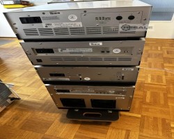 Maschine: DIONEX UltiMate 3000 Gaschromatographen