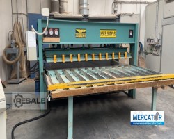 Maschine: BAIONI Listelsimplex Durchlaufpressen