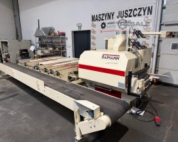 Maschine: RAIMANN KS310 Vielblattsägen