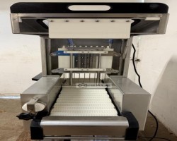Maschine: GüNTHER PI 9 Pökelinjektoren