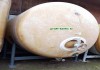 Maschine:   P30 Polyestertank 3.000 L GFK-Tank Lagertank