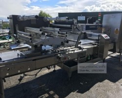 Maschine: ILAPAK Carrera 2000PC Horizontale Verpackungssysteme