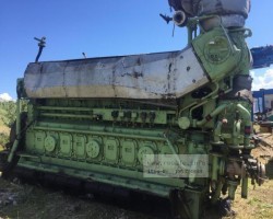 Maschine: BERGEN KRG-9 Dieselmotoren