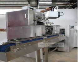 Maschine: BOSCH Cart 5 Kartoniermaschinen