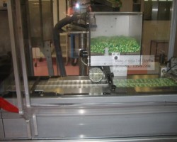 Maschine: CAM PARTENA MX Blistermaschinen