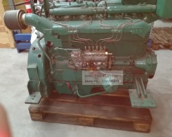 Maschine: DAF 825 Dieselmotoren