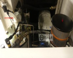 Maschine: INGERSOLL RAND SSR ML 55 AC Compressore a vite