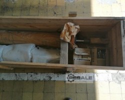 Maschine: BATTENFELD 1900 Schnecken