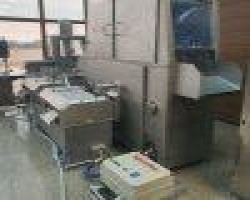 Maschine: INJECT STAR BI 124/248 Pökelinjektoren