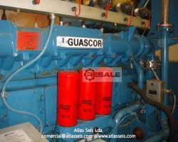 Maschine: GUASCOR SFGLD 180 Gasgeneratoren