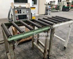 Maschine: RAIMANN ProfiRip KM 310 M Vielblattsägen