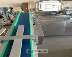 Maschine: FOSHAN OCPACK OC-420AZ Kartonverpackungsmaschinen