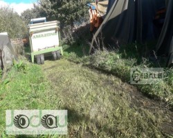 Maschine: AMAZONE GHS 150 Jumbo Mulcher