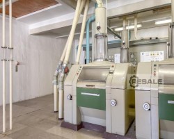 Maschine: GOLFETTO BÜHLER  Getreidemühlen