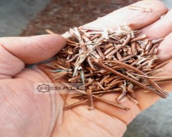 Maschine: TECNOECOLOGY MULCHER 50 Zerkleinerer für Hochspannungsleitungen