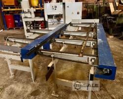 Maschine: RAIMANN VarioRip Vielblattkreissägen