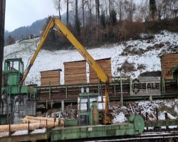 Maschine:  Baljer Zemrod Rundholzsortier- und Transportwagen