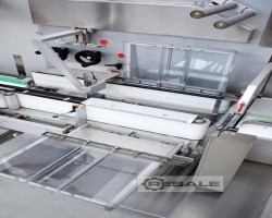 Maschine: PESTER PEWO Pack 250 Compact Banderolier- und Umreifungsmaschinen