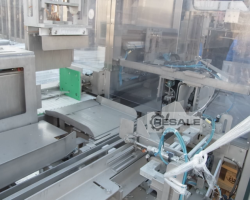 Maschine: M.A.S. MAS AUTOMATION Traypacker Kartoniermaschinen