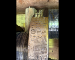 Maschine: MAK 8M332 Kurbelwelle