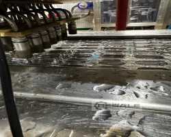 Maschine: MULTIVAC R245 Tiefzieher