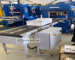 Maschine: MüLLER MARTINI 6215/FJ55 Transportband/Stautaktförderer m. Durchgangsklappe