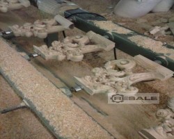 Maschine: ANDREONI STANDARD 12 Kopierfräsmaschinen