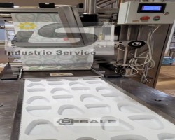 Maschine: MULTIVAC R 530 Vakuum-Folienverpackung