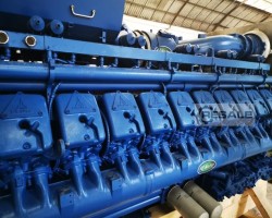 Maschine: DEUTZ - MWM TCG2020 V20 Motoren
