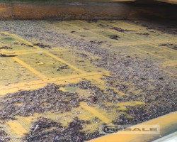 Maschine: CDE Hydrocyclon Sand-Entwässerung