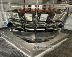 Maschine: ISHIDA + ILAPAK SEE DESCRIPTION Mehrkopfwaage & Doppel-VFFS-Beutelmaschinen