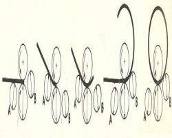Maschine: MG 4roll 3000x40 mm Walzenrundbiegemaschinen