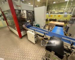 Maschine: SOMIC 424 T2 Tray-Deckel-Sammelpacker für Blisterstreifen