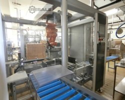 Maschine: TRANSNOVA-RUF / ABB Robot-Packer Tubenverpackungsanlage