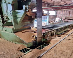 Maschine: CANALI PACIFIC BBS.V 1800er Bandsägeanlagen