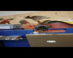 Maschine: DINO ARGEO  Plattformwaage