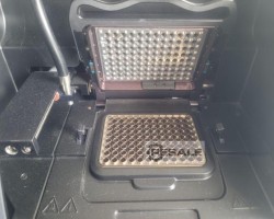 Maschine: AGILENT Stratagene Mx3000p Well-qPCR-System