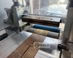 Maschine: DELFIN Auriga 500 Schlauchbeutelmaschinen