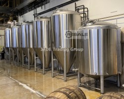 Maschine: TORSTEEL CCT: 14x30hl, 2x15HL, BBT 30HL Biertanks