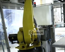 Maschine: FANUC R-2000iC/165F Palettierrobter/6-Achsen-Roboter/Industrieroboter