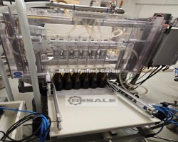 Maschine: WILD GOOSE Meheen M6L 2400bph Flaschenabfüllanlagen