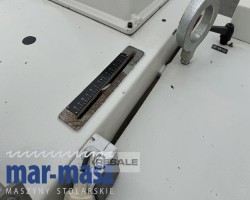 Maschine: SCM M3 300/120 Vielblattsägen