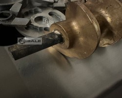 Maschine: KOLBE LW82 Fleischwölfe