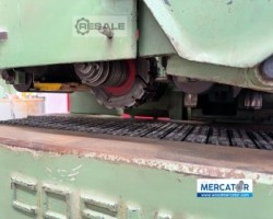 Maschine: COSMEC 250 Vielblattsägen