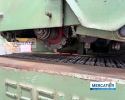 Maschine: COSMEC 250 Vielblattsägen
