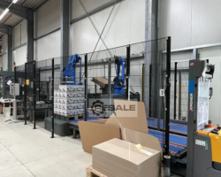 Maschine: YASKAWA Motoman PL190 / GP35L Roboterzelle mit Robotern