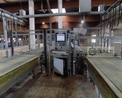 Maschine: BARGSTEDT/HOMAG PROFI KFL620 -  TSP 420 PLATTENAUSBESSERUNGS UND PROFILIERLINIE