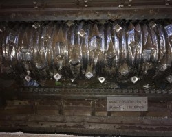 Maschine: VECOPLAN VAZ 160/200 SLF 