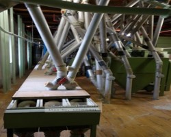 Maschine: BÜHLER MDDK 75 t/d Getreidemühlen